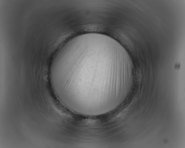 X0000092310255200710121504