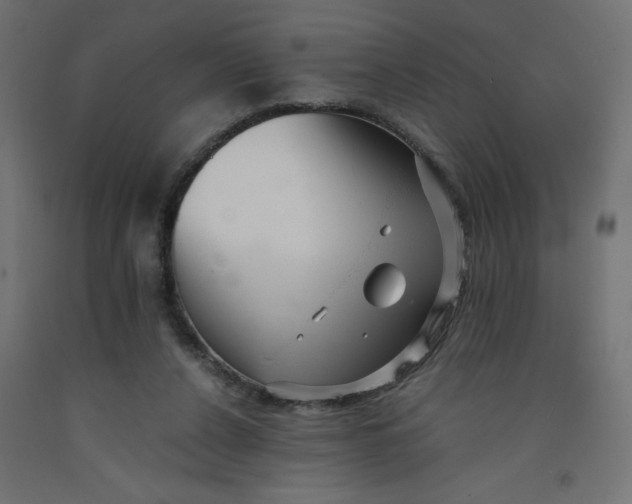 X0000092310256200710121504