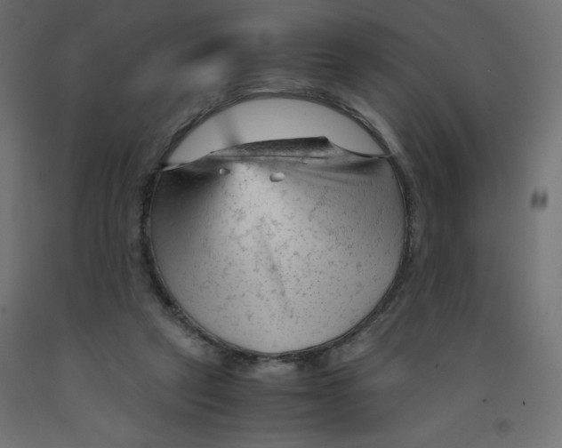 X0000092310257200710121504