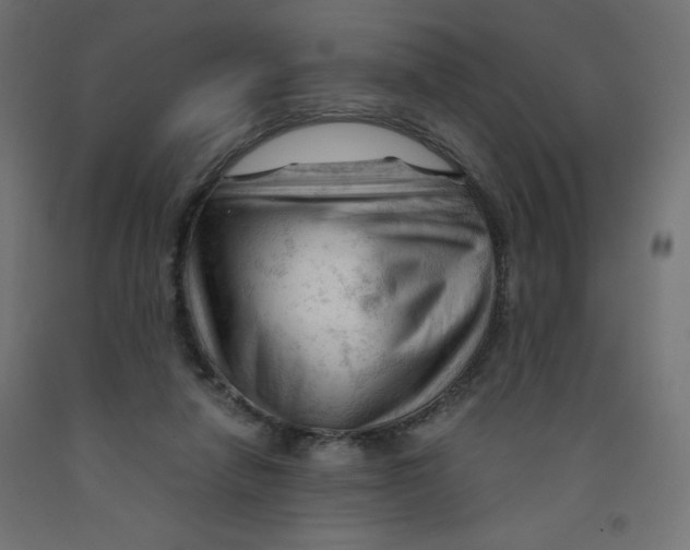 X0000092310258200710121504