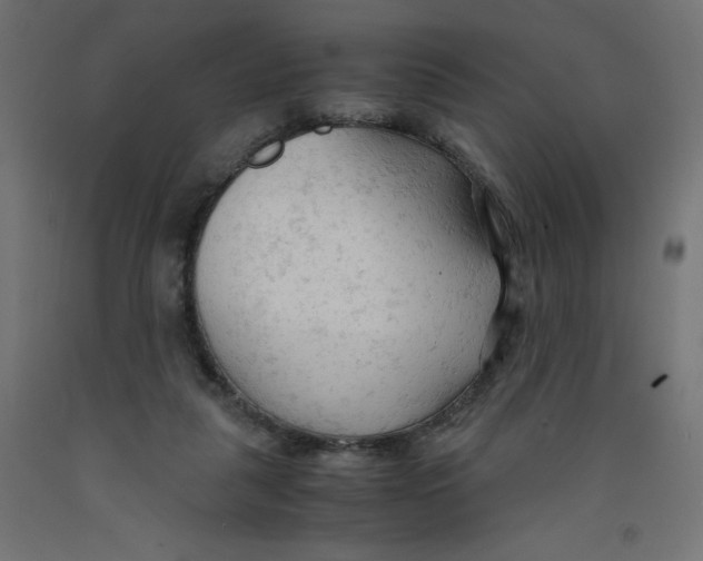 X0000092310259200710121504
