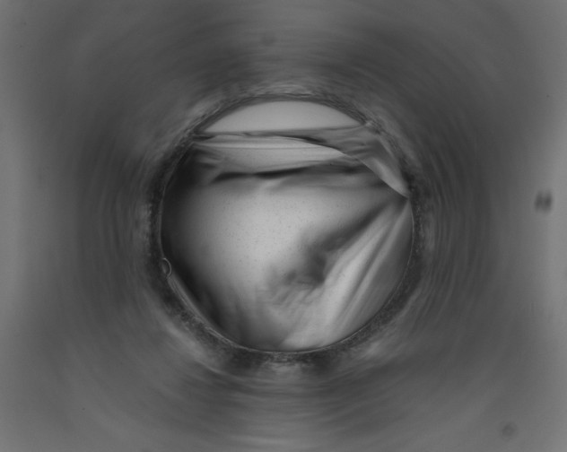 X0000092310260200710121504