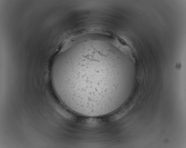 X0000092310261200710121504