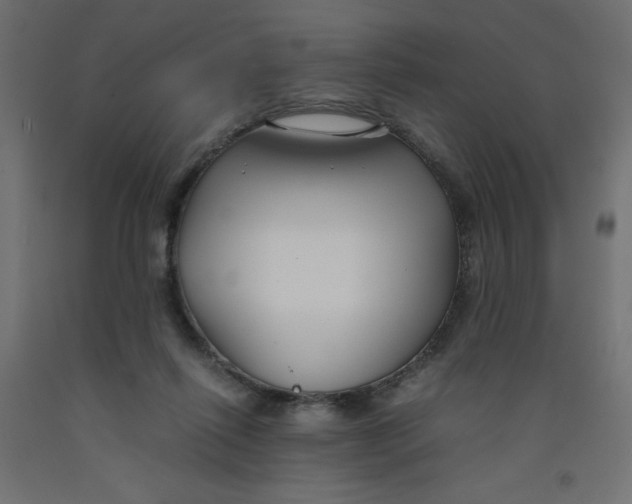 X0000092310262200710121504
