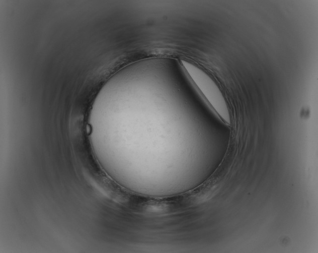 X0000092310263200710121504