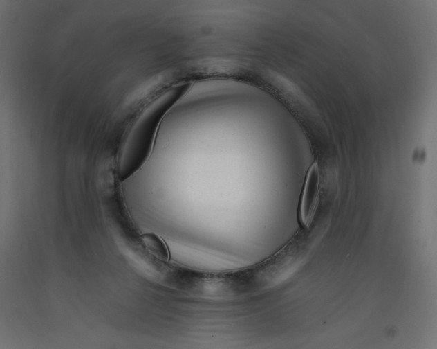 X0000092310264200710121504