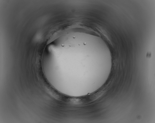 X0000092310265200710121504