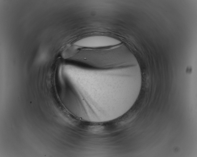 X0000092310266200710121504