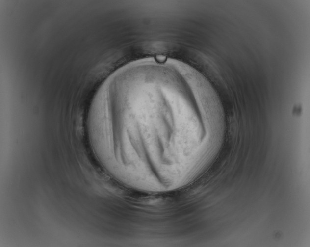X0000092310267200710121504
