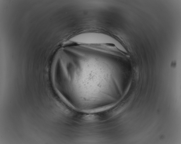 X0000092310269200710121504