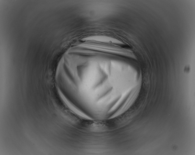 X0000092310270200710121504