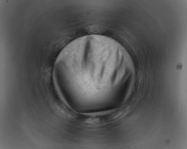 X0000092310271200710121504