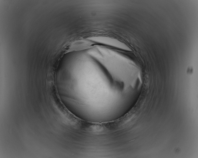 X0000092310272200710121504
