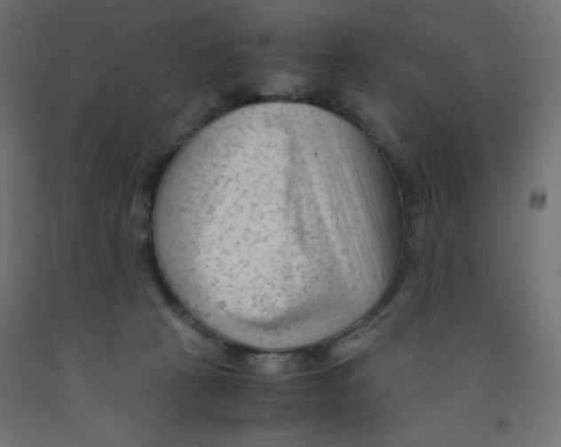 X0000092310273200710121504