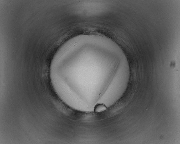 X0000092310274200710121504