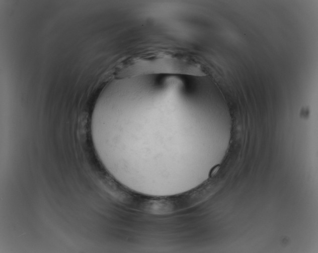 X0000092310275200710121504