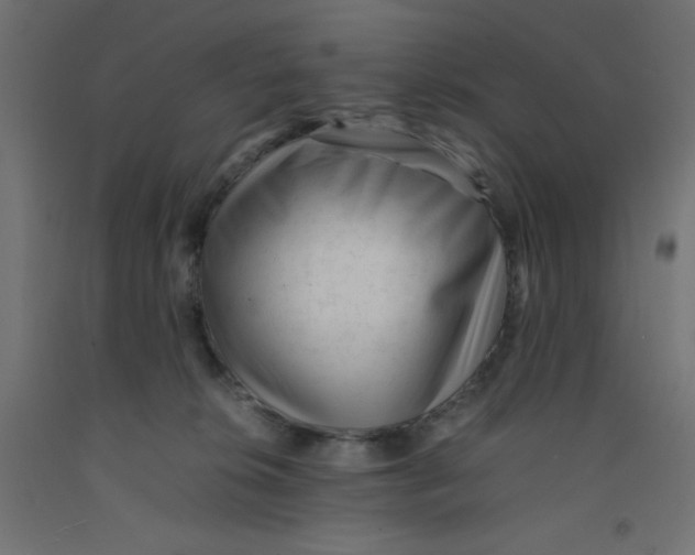 X0000092310276200710121504