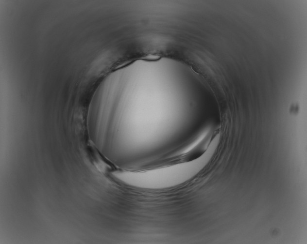 X0000092310280200710121504