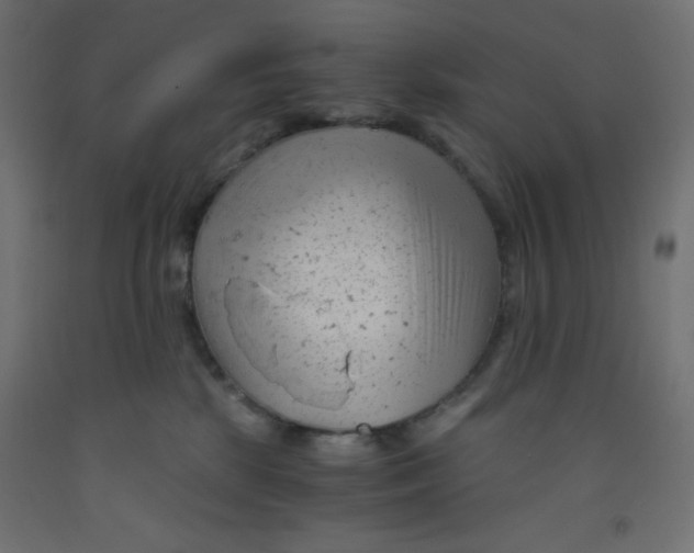 X0000092310281200710121504