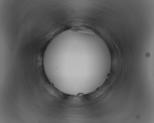 X0000092310282200710121504