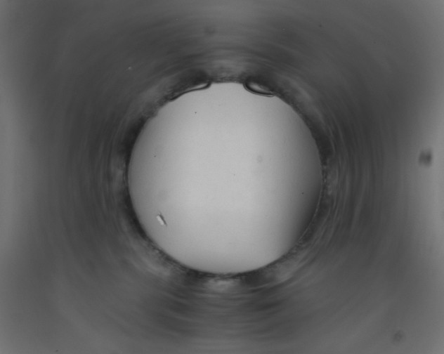 X0000092310283200710121504
