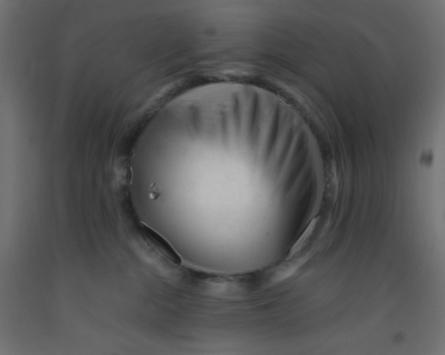 X0000092310284200710121504