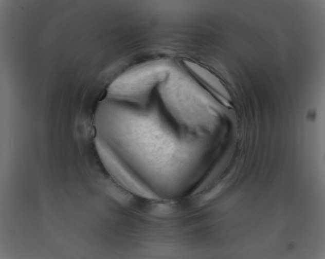 X0000092310285200710121504