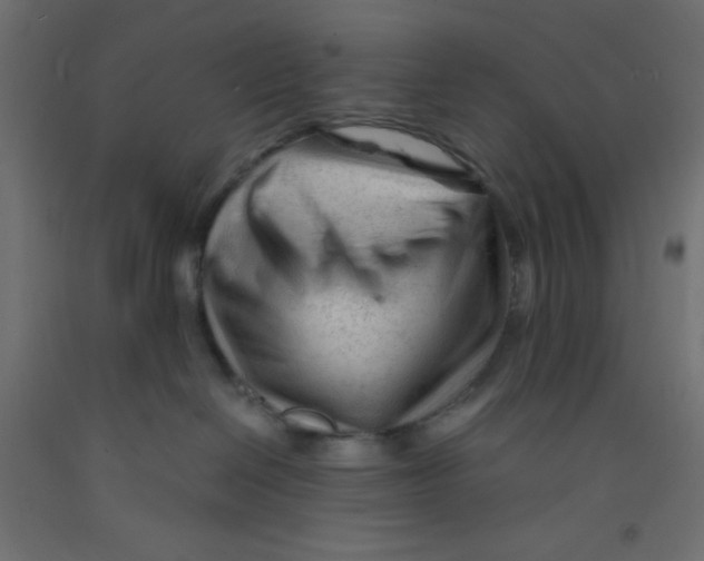 X0000092310286200710121504