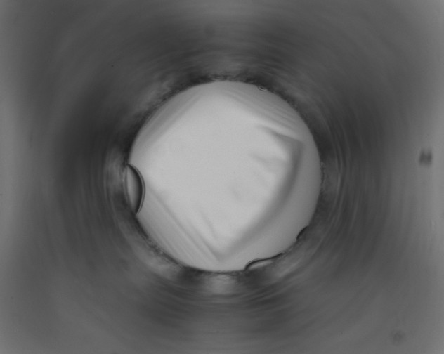 X0000092310287200710121504