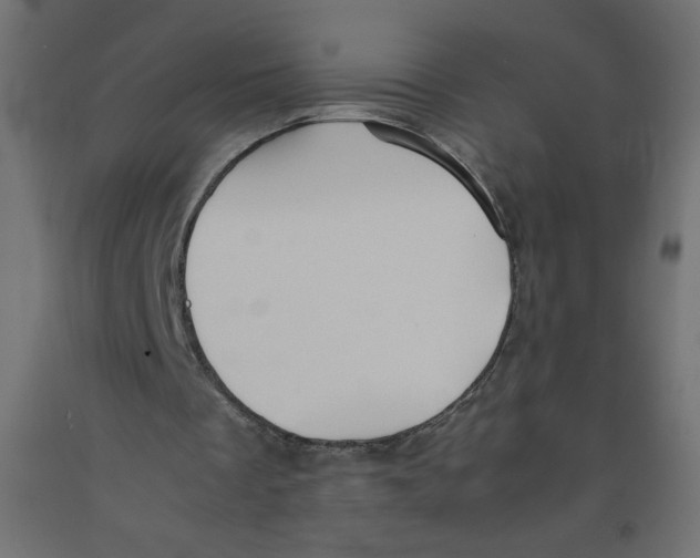 X0000092310289200710121504