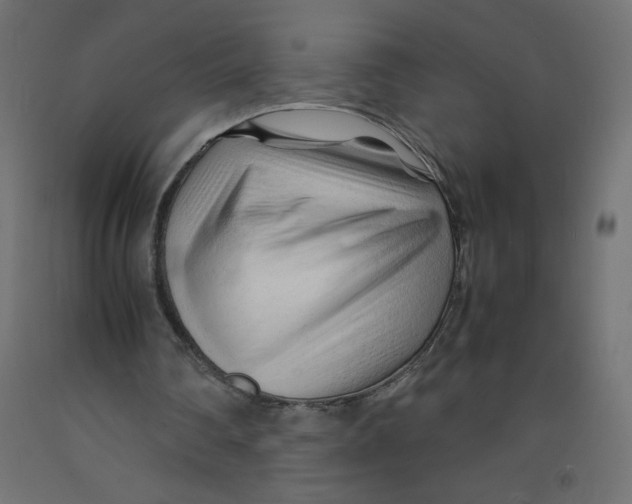 X0000092310290200710121504