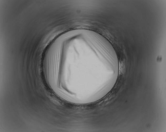 X0000092310291200710121504