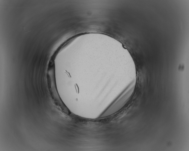 X0000092310292200710121504