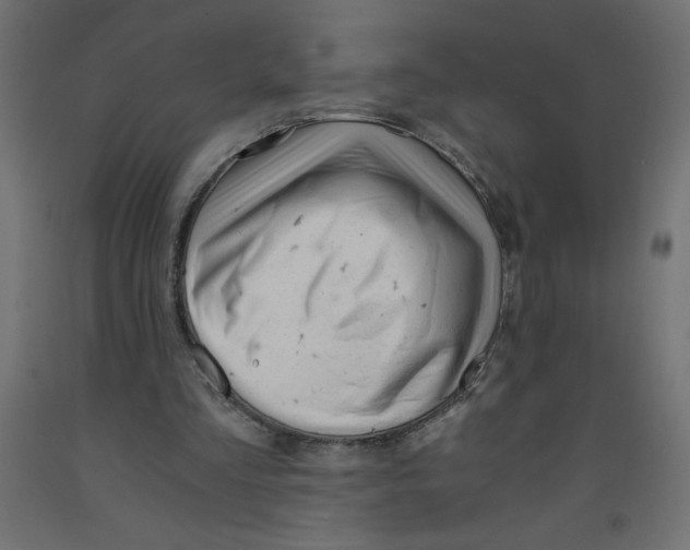 X0000092310293200710121504