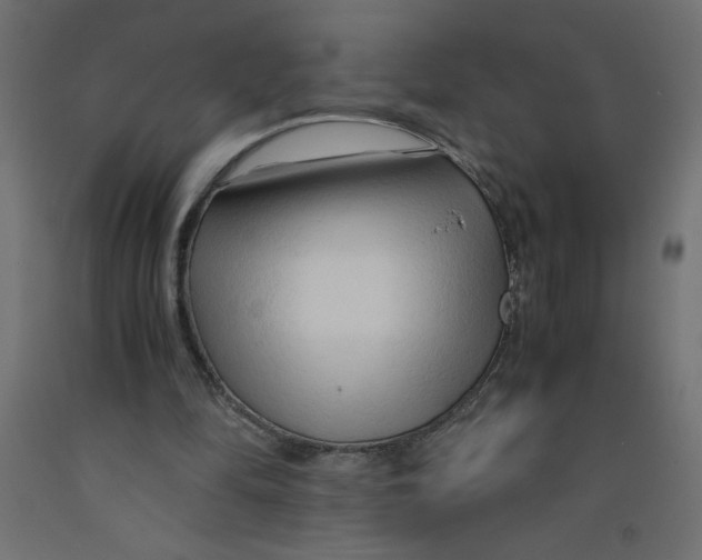 X0000092310294200710121504