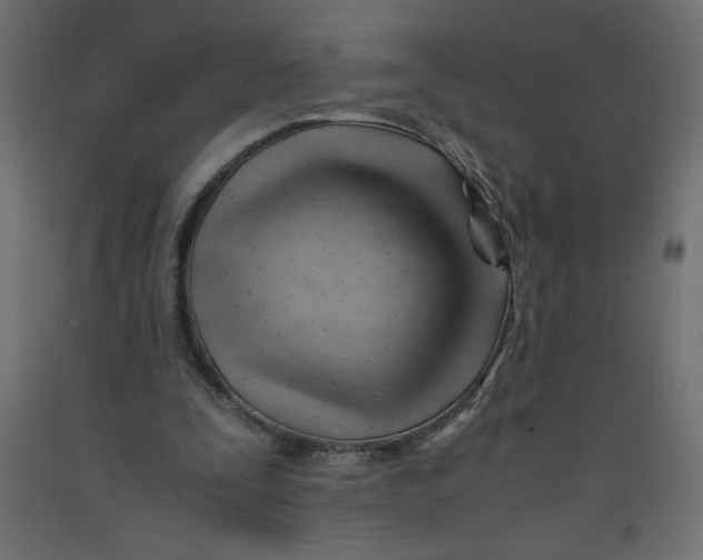 X0000092310295200710121504