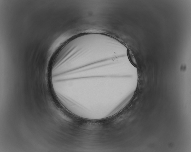 X0000092310296200710121504