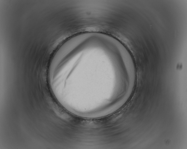X0000092310297200710121504