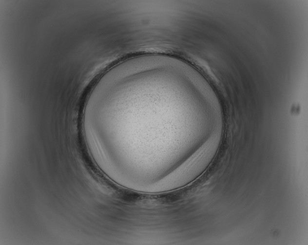 X0000092310299200710121504