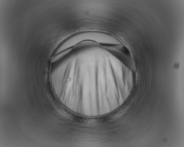 X0000092310301200710121503