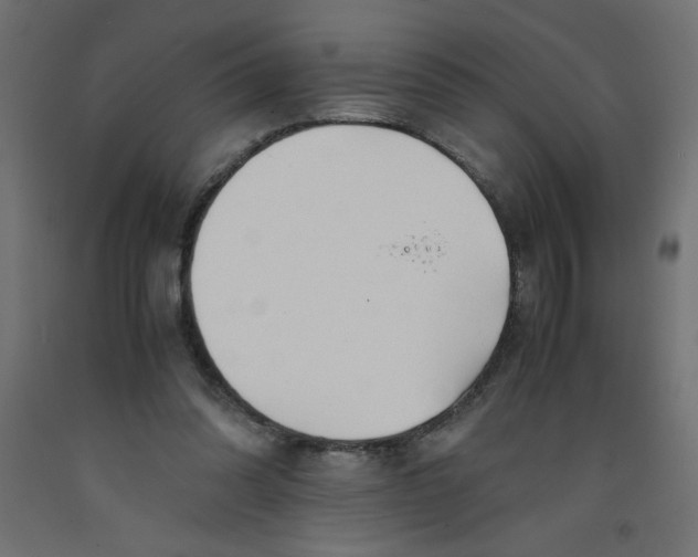 X0000092310302200710121503