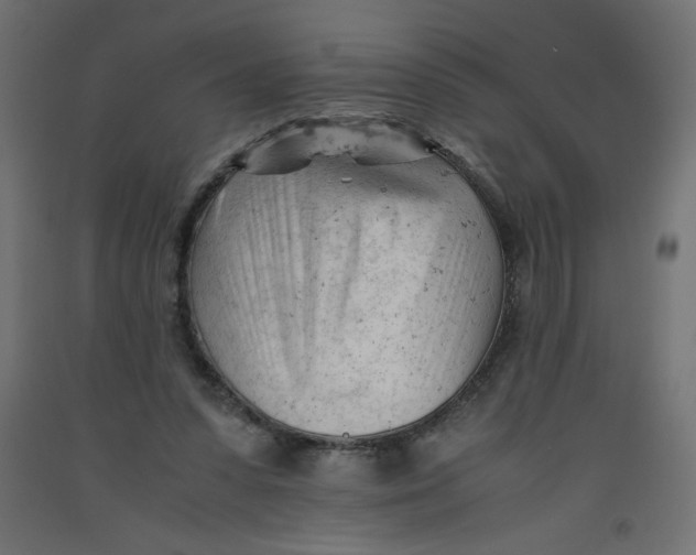 X0000092310303200710121503