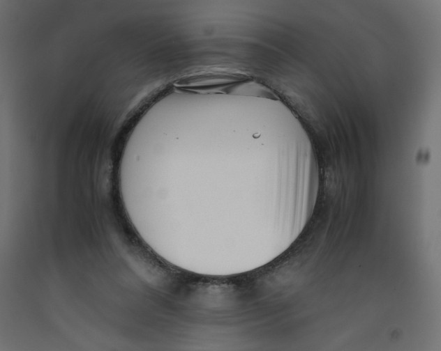 X0000092310304200710121503