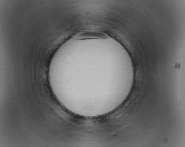 X0000092310305200710121503