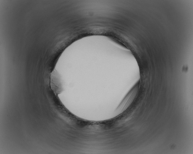 X0000092310307200710121503