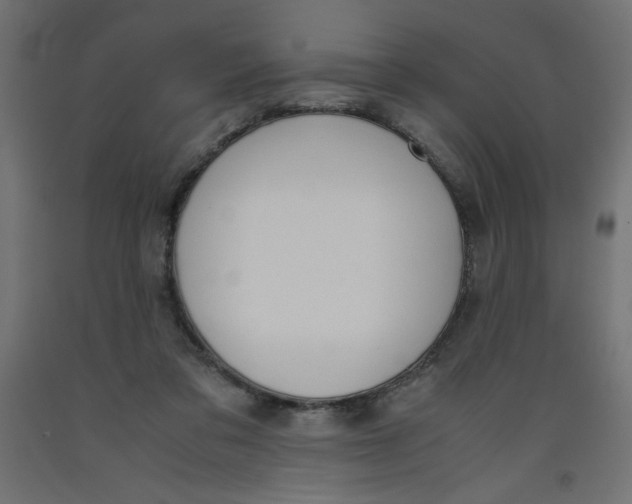 X0000092310309200710121503