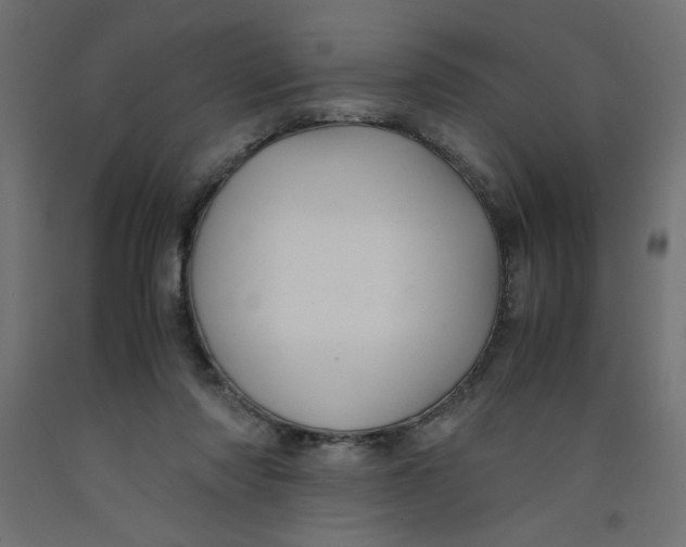 X0000092310310200710121503