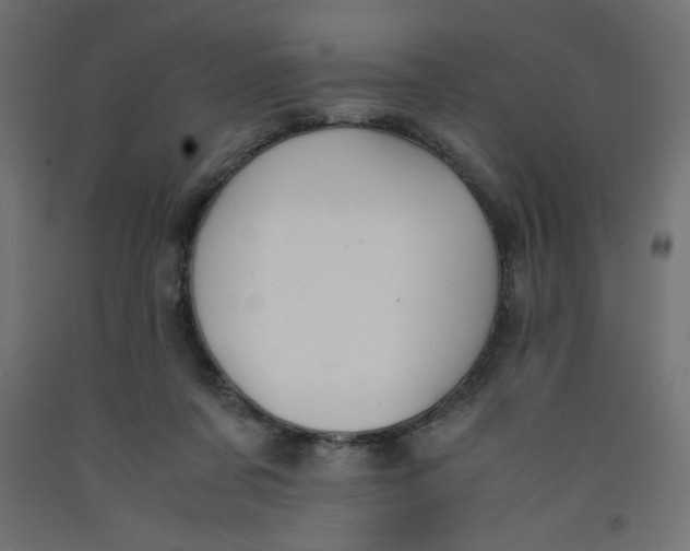 X0000092310311200710121503