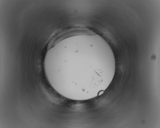 X0000092310312200710121503