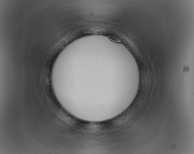 X0000092310313200710121503